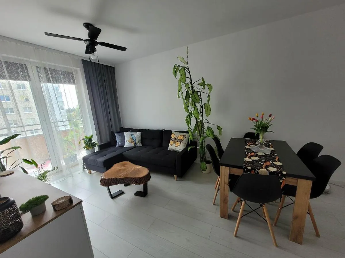 Apartment Mieszkanie Litewska Wroclaw